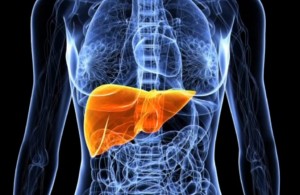 Liver Pain - Location, Causes, Symptoms, Treatment